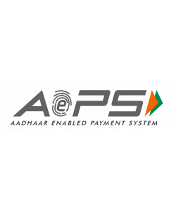 AADHAAR ENABLED PAYMENT SYSTEM AADHAAR ENABLED PAYMENT SYSTEM